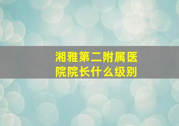 湘雅第二附属医院院长什么级别