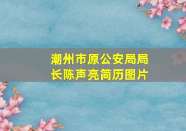 潮州市原公安局局长陈声亮简历图片