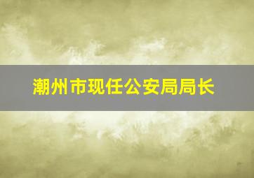 潮州市现任公安局局长