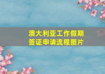 澳大利亚工作假期签证申请流程图片