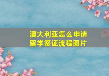 澳大利亚怎么申请留学签证流程图片