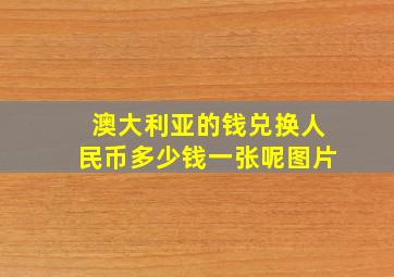 澳大利亚的钱兑换人民币多少钱一张呢图片