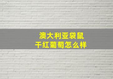 澳大利亚袋鼠干红葡萄怎么样