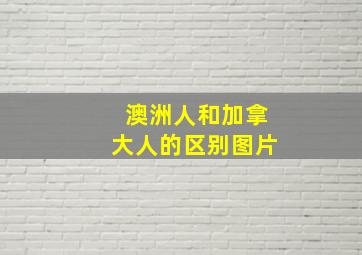 澳洲人和加拿大人的区别图片