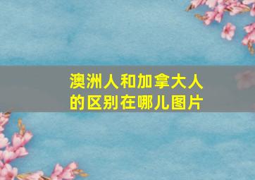 澳洲人和加拿大人的区别在哪儿图片