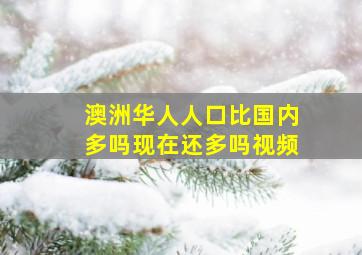 澳洲华人人口比国内多吗现在还多吗视频