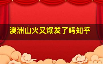 澳洲山火又爆发了吗知乎