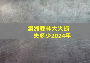 澳洲森林大火损失多少2024年