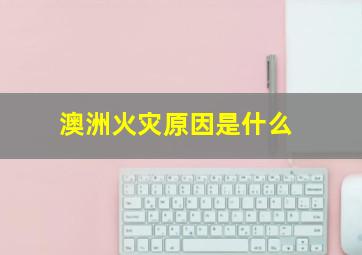 澳洲火灾原因是什么