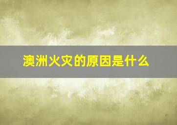 澳洲火灾的原因是什么