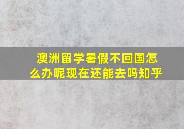 澳洲留学暑假不回国怎么办呢现在还能去吗知乎