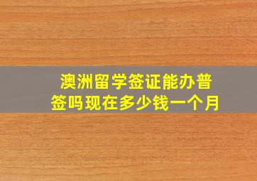 澳洲留学签证能办普签吗现在多少钱一个月