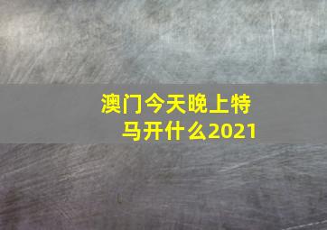 澳门今天晚上特马开什么2021