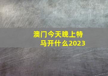 澳门今天晚上特马开什么2023