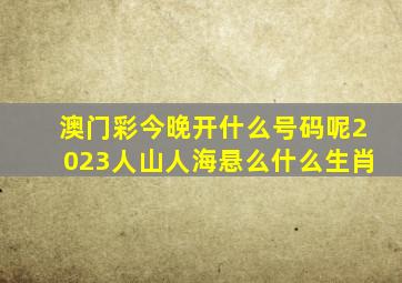 澳门彩今晚开什么号码呢2023人山人海悬么什么生肖