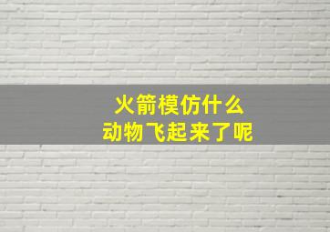 火箭模仿什么动物飞起来了呢