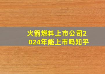 火箭燃料上市公司2024年能上市吗知乎