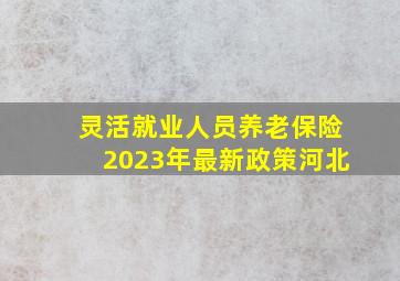 灵活就业人员养老保险2023年最新政策河北