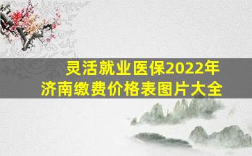 灵活就业医保2022年济南缴费价格表图片大全