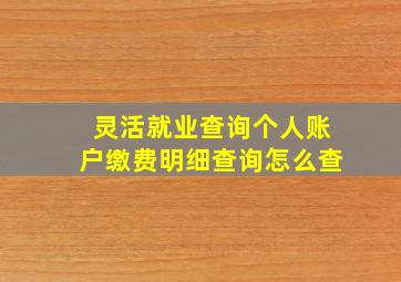 灵活就业查询个人账户缴费明细查询怎么查