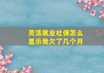 灵活就业社保怎么显示我欠了几个月