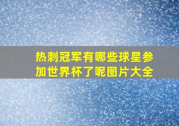 热刺冠军有哪些球星参加世界杯了呢图片大全