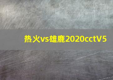 热火vs雄鹿2020cctV5