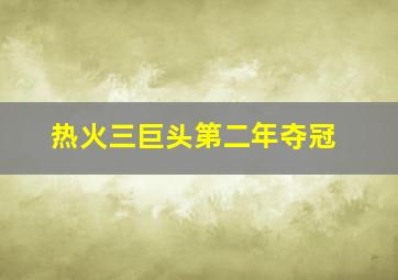 热火三巨头第二年夺冠