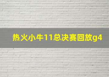 热火小牛11总决赛回放g4