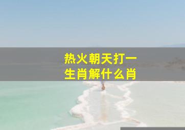 热火朝天打一生肖解什么肖