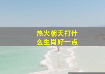 热火朝天打什么生肖好一点