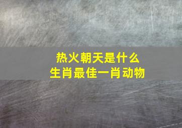 热火朝天是什么生肖最佳一肖动物