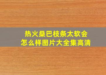 热火桑巴枝条太软会怎么样图片大全集高清