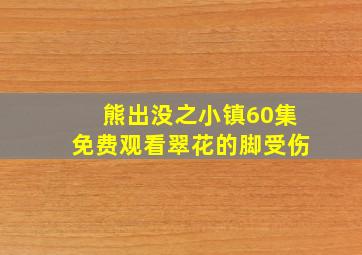 熊出没之小镇60集免费观看翠花的脚受伤