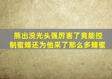 熊出没光头强厉害了竟能控制蜜蜂还为他采了那么多蜂蜜