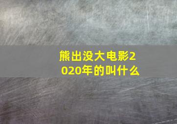 熊出没大电影2020年的叫什么