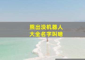 熊出没机器人大全名字叫啥