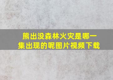 熊出没森林火灾是哪一集出现的呢图片视频下载