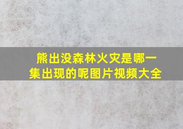 熊出没森林火灾是哪一集出现的呢图片视频大全