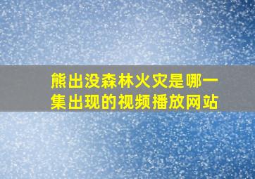 熊出没森林火灾是哪一集出现的视频播放网站