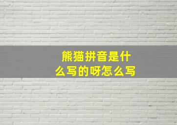 熊猫拼音是什么写的呀怎么写