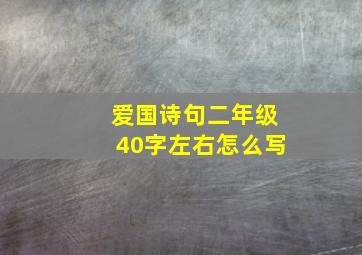 爱国诗句二年级40字左右怎么写