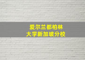 爱尔兰都柏林大学新加坡分校