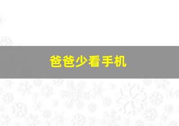 爸爸少看手机