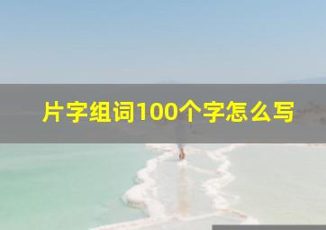 片字组词100个字怎么写