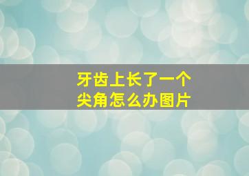 牙齿上长了一个尖角怎么办图片