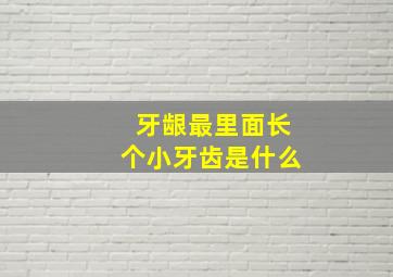 牙龈最里面长个小牙齿是什么