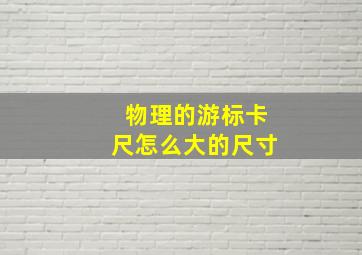 物理的游标卡尺怎么大的尺寸