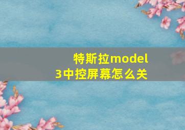 特斯拉model3中控屏幕怎么关