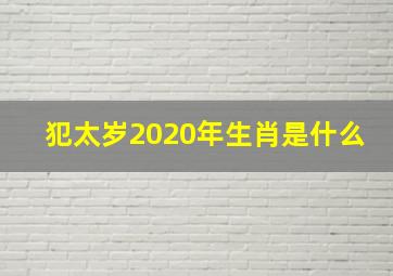 犯太岁2020年生肖是什么